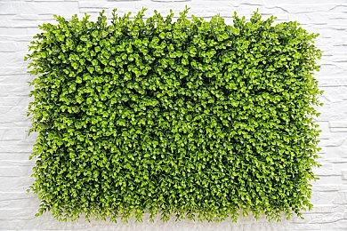 TGA：小岛工作室新作《OD》预告